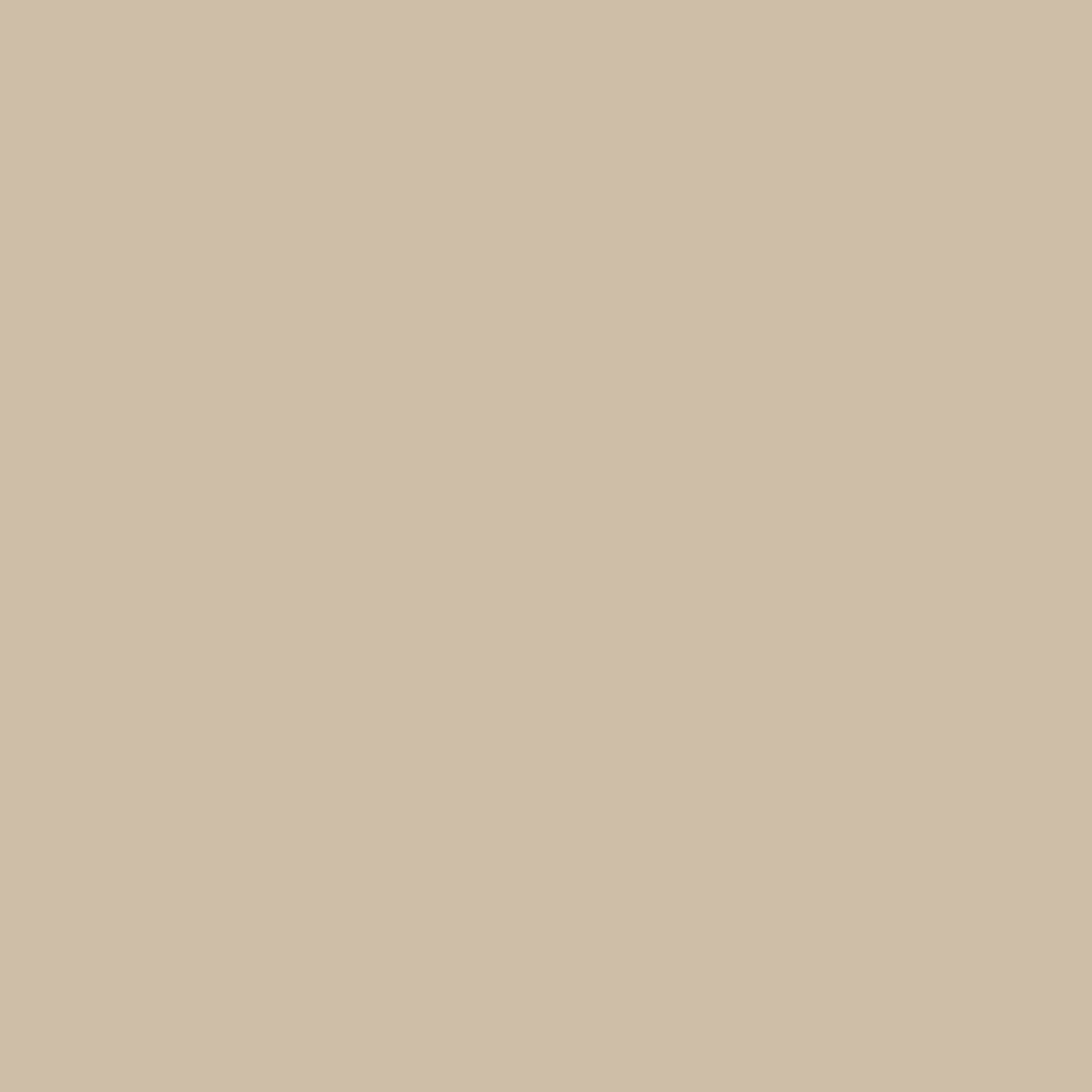 Canvas Pull-On Pants - Image 9