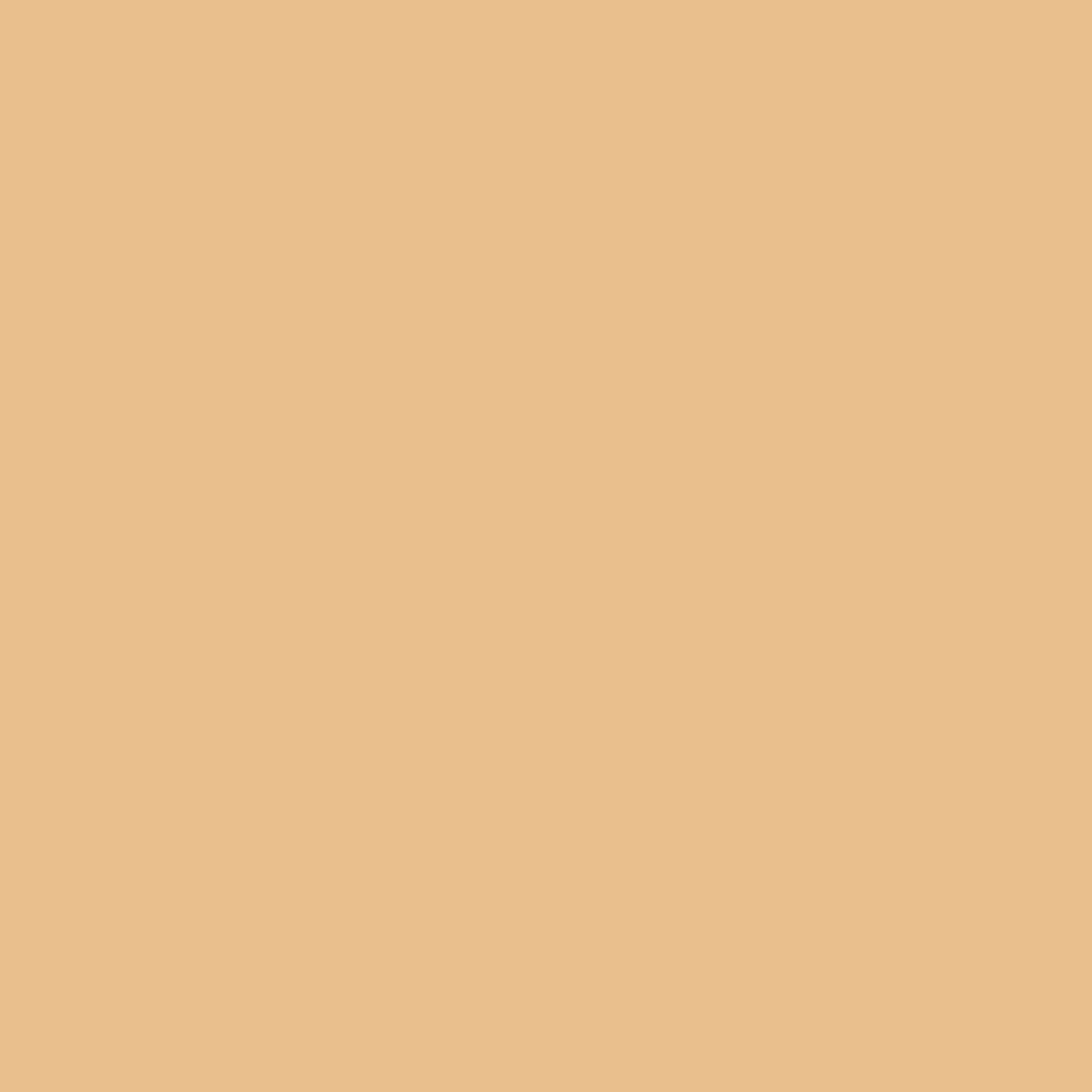 Loose Fit Canvas Carpenter Pants - Image 9
